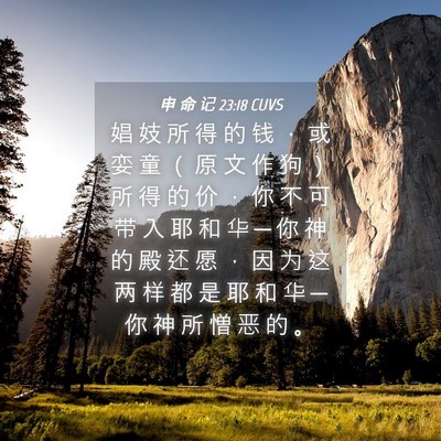 Picture 04 - 申 命 记 23:18 CUVS - 娼 妓 所 得 的 钱 ， 或 娈 童 （ 原 - Bible Verse Picture