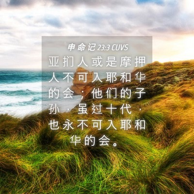 Picture 04 - 申 命 记 23:3 CUVS - 亚 扪 人 或 是 摩 押 人 不 可 入 耶 - Bible Verse Picture