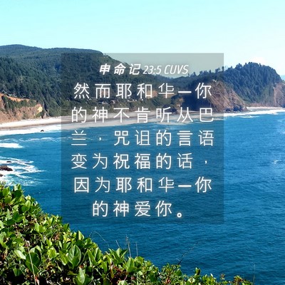 Picture 04 - 申 命 记 23:5 CUVS - 然 而 耶 和 华 ─ 你 的 神 不 肯 听 - Bible Verse Picture