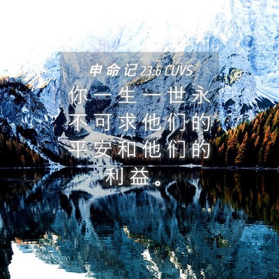Picture 04 - 申 命 记 23:6 CUVS - 你 一 生 一 世 永 不 可 求 他 们 的 - Bible Verse Picture