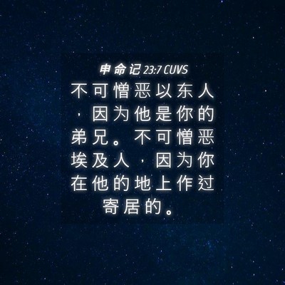 Picture 04 - 申 命 记 23:7 CUVS - 不 可 憎 恶 以 东 人 ， 因 为 他 是 - Bible Verse Picture