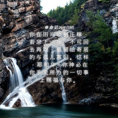 Picture 04 - 申 命 记 24:19 CUVS - 你 在 田 间 收 割 庄 稼 ， 若 忘 下 - Bible Verse Picture