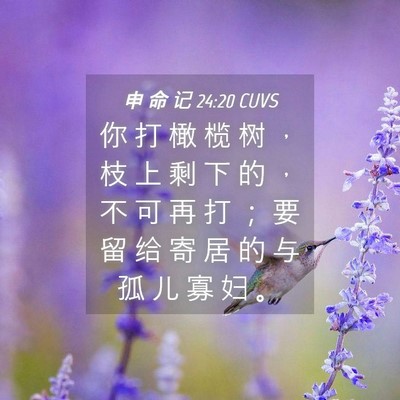 Picture 04 - 申 命 记 24:20 CUVS - 你 打 橄 榄 树 ， 枝 上 剩 下 的 ， - Bible Verse Picture