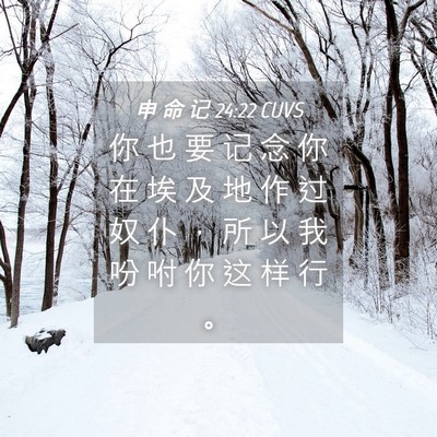 Picture 04 - 申 命 记 24:22 CUVS - 你 也 要 记 念 你 在 埃 及 地 作 过 - Bible Verse Picture