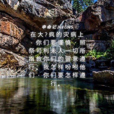 Picture 04 - 申 命 记 24:8 CUVS - 在 大 ? 疯 的 灾 病 上 ， 你 们 要 谨 - Bible Verse Picture