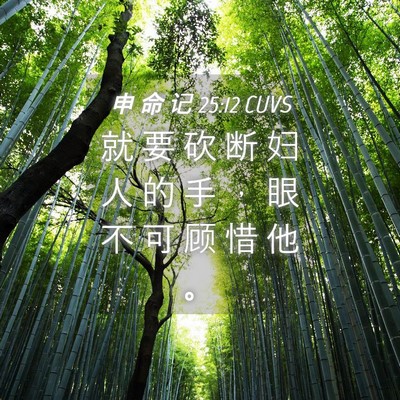 Picture 04 - 申 命 记 25:12 CUVS - 就 要 砍 断 妇 人 的 手 ， 眼 不 可 - Bible Verse Picture