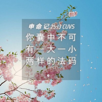 Picture 04 - 申 命 记 25:13 CUVS - 你 囊 中 不 可 有 一 大 一 小 两 样 - Bible Verse Picture