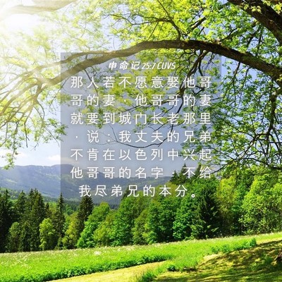 Picture 04 - 申 命 记 25:7 CUVS - 那 人 若 不 愿 意 娶 他 哥 哥 的 妻 - Bible Verse Picture