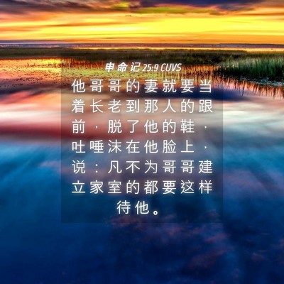Picture 04 - 申 命 记 25:9 CUVS - 他 哥 哥 的 妻 就 要 当 着 长 老 到 - Bible Verse Picture