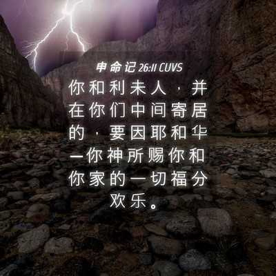 Picture 04 - 申 命 记 26:11 CUVS - 你 和 利 未 人 ， 并 在 你 们 中 间 - Bible Verse Picture