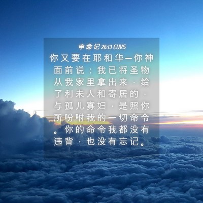 Picture 04 - 申 命 记 26:13 CUVS - 你 又 要 在 耶 和 华 ─ 你 神 面 前 - Bible Verse Picture