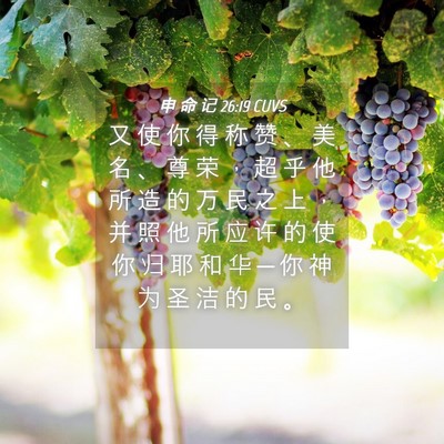 Picture 04 - 申 命 记 26:19 CUVS - 又 使 你 得 称 赞 、 美 名 、 尊 荣 - Bible Verse Picture