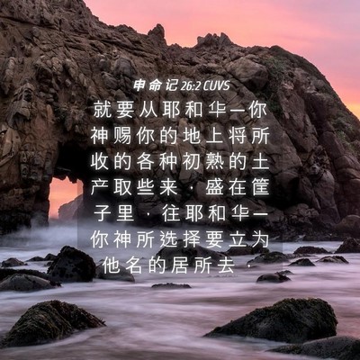 Picture 04 - 申 命 记 26:2 CUVS - 就 要 从 耶 和 华 ─ 你 神 赐 你 的 - Bible Verse Picture