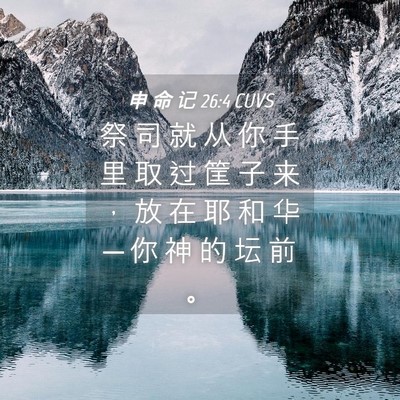 Picture 04 - 申 命 记 26:4 CUVS - 祭 司 就 从 你 手 里 取 过 筐 子 来 - Bible Verse Picture
