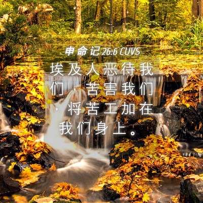 Picture 04 - 申 命 记 26:6 CUVS - 埃 及 人 恶 待 我 们 ， 苦 害 我 们 - Bible Verse Picture