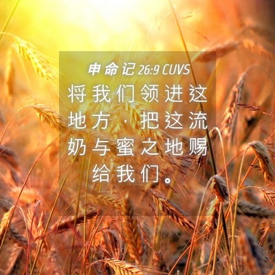 Picture 04 - 申 命 记 26:9 CUVS - 将 我 们 领 进 这 地 方 ， 把 这 流 - Bible Verse Picture