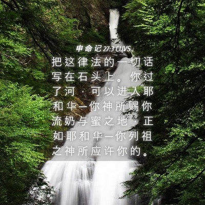 Picture 04 - 申 命 记 27:3 CUVS - 把 这 律 法 的 一 切 话 写 在 石 头 - Bible Verse Picture