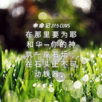 Picture 04 - 申 命 记 27:5 CUVS - 在 那 里 要 为 耶 和 华 ─ 你 的 神 - Bible Verse Picture
