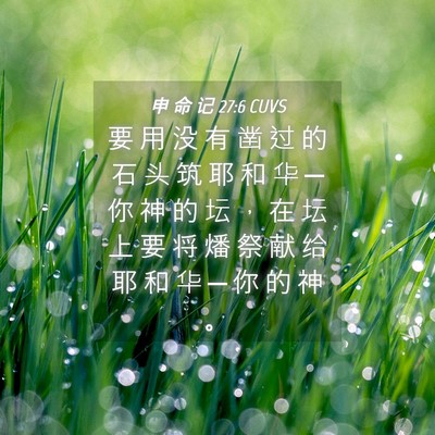 Picture 04 - 申 命 记 27:6 CUVS - 要 用 没 有 凿 过 的 石 头 筑 耶 和 - Bible Verse Picture