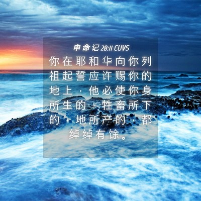 Picture 04 - 申 命 记 28:11 CUVS - 你 在 耶 和 华 向 你 列 祖 起 誓 应 - Bible Verse Picture