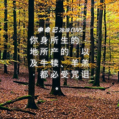 Picture 04 - 申 命 记 28:18 CUVS - 你 身 所 生 的 ， 地 所 产 的 ， 以 - Bible Verse Picture