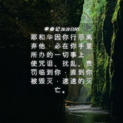 Picture 04 - 申 命 记 28:20 CUVS - 耶 和 华 因 你 行 恶 离 弃 他 ， 必 - Bible Verse Picture