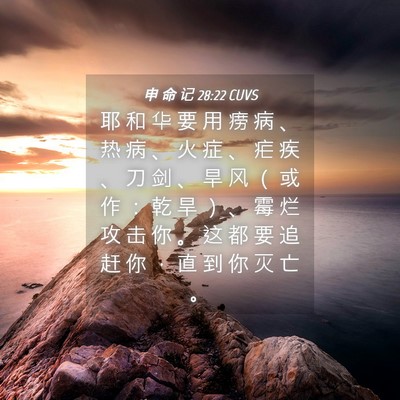 Picture 04 - 申 命 记 28:22 CUVS - 耶 和 华 要 用 痨 病 、 热 病 、 火 - Bible Verse Picture
