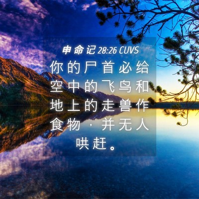 Picture 04 - 申 命 记 28:26 CUVS - 你 的 尸 首 必 给 空 中 的 飞 鸟 和 - Bible Verse Picture