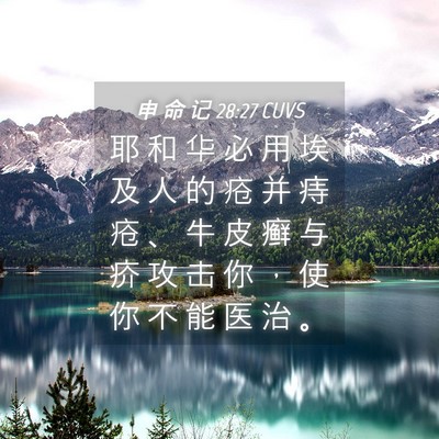 Picture 04 - 申 命 记 28:27 CUVS - 耶 和 华 必 用 埃 及 人 的 疮 并 痔 - Bible Verse Picture