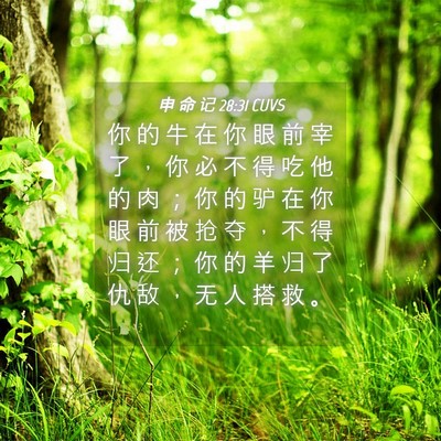 Picture 04 - 申 命 记 28:31 CUVS - 你 的 牛 在 你 眼 前 宰 了 ， 你 必 - Bible Verse Picture