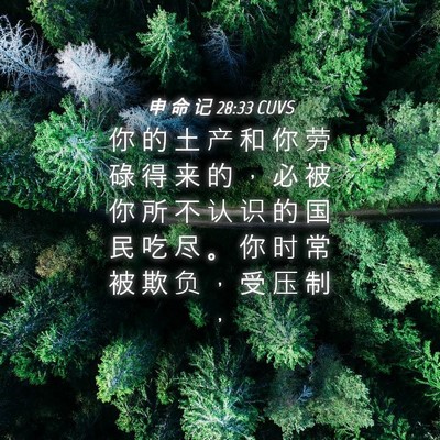Picture 04 - 申 命 记 28:33 CUVS - 你 的 土 产 和 你 劳 碌 得 来 的 ， - Bible Verse Picture