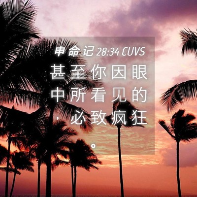 Picture 04 - 申 命 记 28:34 CUVS - 甚 至 你 因 眼 中 所 看 见 的 ， 必 - Bible Verse Picture