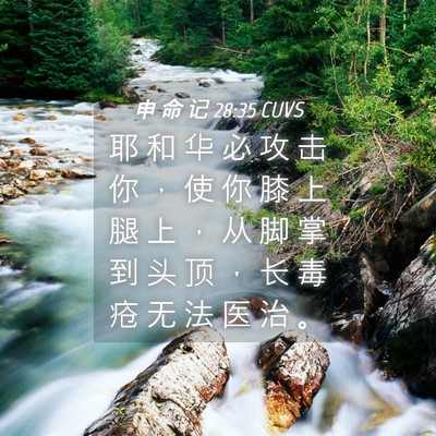 Picture 04 - 申 命 记 28:35 CUVS - 耶 和 华 必 攻 击 你 ， 使 你 膝 上 - Bible Verse Picture