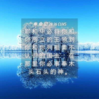 Picture 04 - 申 命 记 28:36 CUVS - 耶 和 华 必 将 你 和 你 所 立 的 王 - Bible Verse Picture