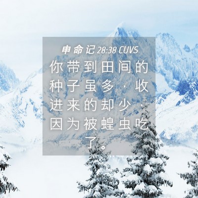Picture 04 - 申 命 记 28:38 CUVS - 你 带 到 田 间 的 种 子 虽 多 ， 收 - Bible Verse Picture