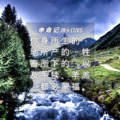 Picture 04 - 申 命 记 28:4 CUVS - 你 身 所 生 的 ， 地 所 产 的 ， 牲 - Bible Verse Picture