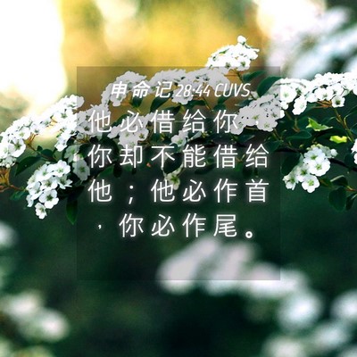 Picture 04 - 申 命 记 28:44 CUVS - 他 必 借 给 你 ， 你 却 不 能 借 给 - Bible Verse Picture