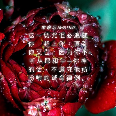 Picture 04 - 申 命 记 28:45 CUVS - 这 一 切 咒 诅 必 追 随 你 ， 赶 上 - Bible Verse Picture