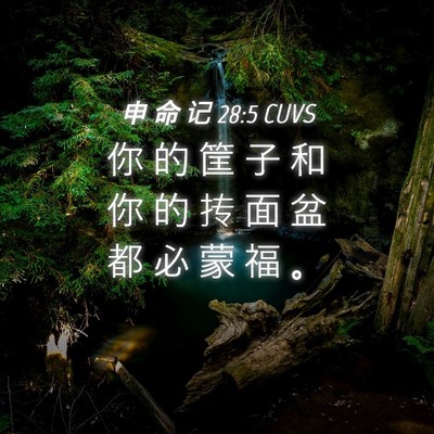 Picture 04 - 申 命 记 28:5 CUVS - 你 的 筐 子 和 你 的 抟 面 盆 都 必 - Bible Verse Picture