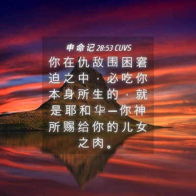 Picture 04 - 申 命 记 28:53 CUVS - 你 在 仇 敌 围 困 窘 迫 之 中 ， 必 - Bible Verse Picture