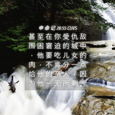Picture 04 - 申 命 记 28:55 CUVS - 甚 至 在 你 受 仇 敌 围 困 窘 迫 的 - Bible Verse Picture