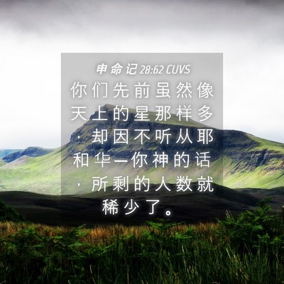 Picture 04 - 申 命 记 28:62 CUVS - 你 们 先 前 虽 然 像 天 上 的 星 那 - Bible Verse Picture