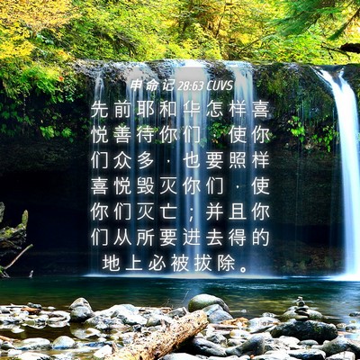 Picture 04 - 申 命 记 28:63 CUVS - 先 前 耶 和 华 怎 样 喜 悦 善 待 你 - Bible Verse Picture