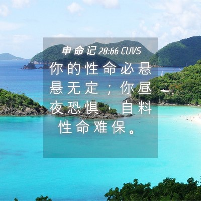 Picture 04 - 申 命 记 28:66 CUVS - 你 的 性 命 必 悬 悬 无 定 ； 你 昼 - Bible Verse Picture
