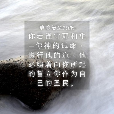 Picture 04 - 申 命 记 28:9 CUVS - 你 若 谨 守 耶 和 华 ─ 你 神 的 诫 - Bible Verse Picture