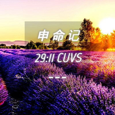 Picture 04 - 申 命 记 29:11 CUVS -  - Bible Verse Picture