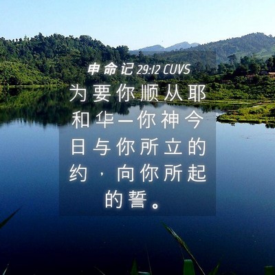 Picture 04 - 申 命 记 29:12 CUVS - 为 要 你 顺 从 耶 和 华 ─ 你 神 今 - Bible Verse Picture