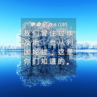 Picture 04 - 申 命 记 29:16 CUVS - 我 们 曾 住 过 埃 及 地 ， 也 从 列 - Bible Verse Picture