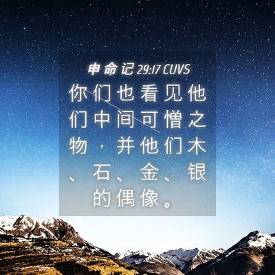 Picture 04 - 申 命 记 29:17 CUVS - 你 们 也 看 见 他 们 中 间 可 憎 之 - Bible Verse Picture