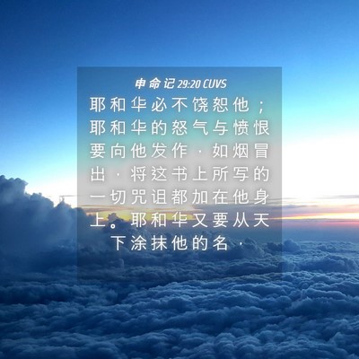 Picture 04 - 申 命 记 29:20 CUVS - 耶 和 华 必 不 饶 恕 他 ； 耶 和 华 - Bible Verse Picture